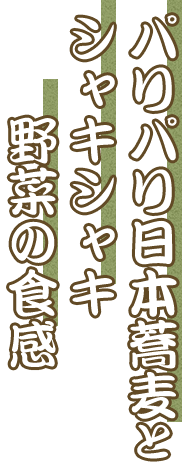 パリパリ日本蕎麦と シャキシャキ 　　野菜の食感 