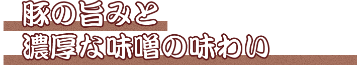 豚の旨みと 濃厚な味噌の味わい 